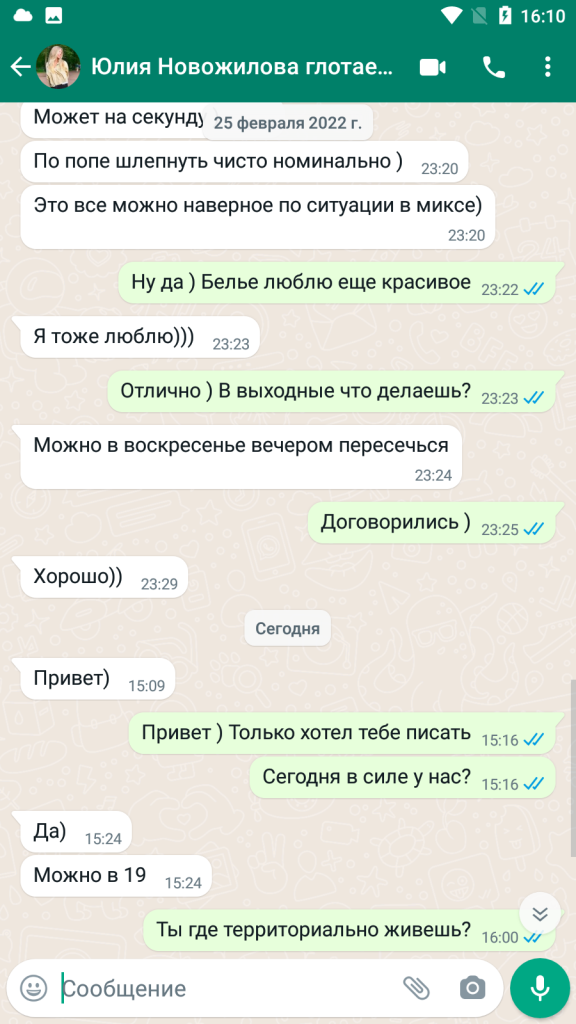 Проститутка Юлия Семенова (Новожилова) Олеговна — Санкт-Петербург, снимок 15