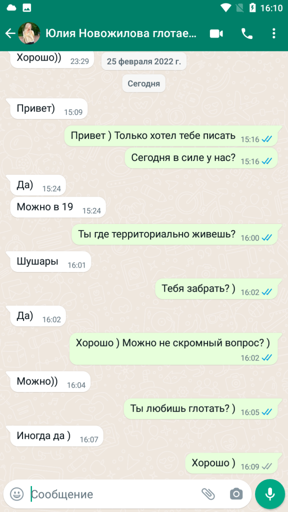 Проститутка Юлия Семенова (Новожилова) Олеговна — Санкт-Петербург, снимок 16