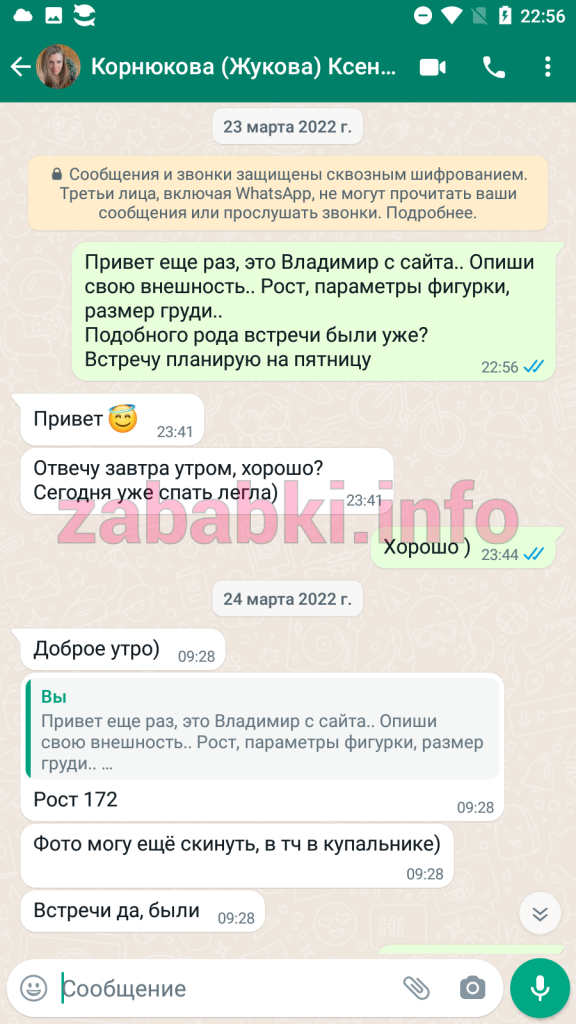 Проститутка Корнюкова (Жукова) Ксения Геннадьевна — Москва, снимок 5