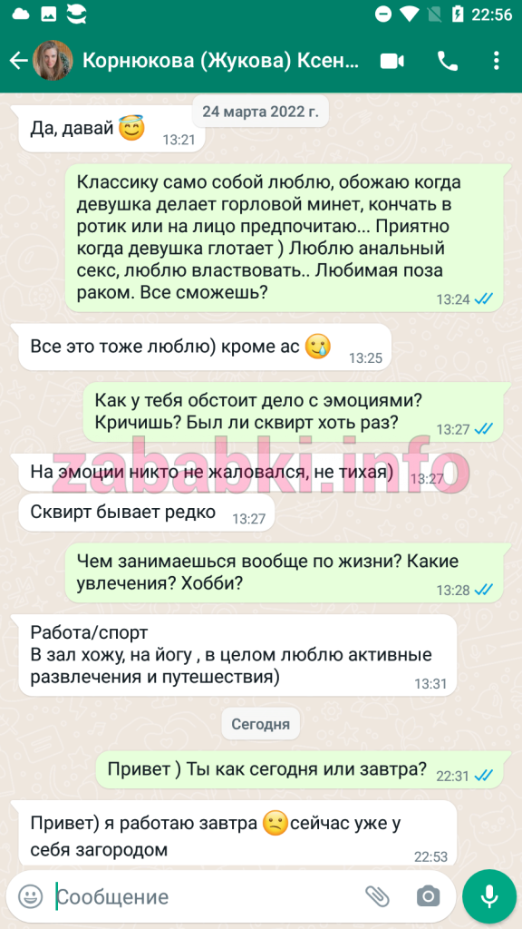 Проститутка Корнюкова (Жукова) Ксения Геннадьевна — Москва, снимок 7