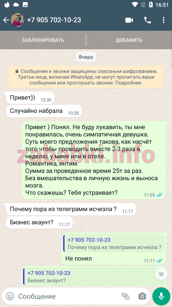 Проститутка Людмила Сошникова — Москва, снимок 7