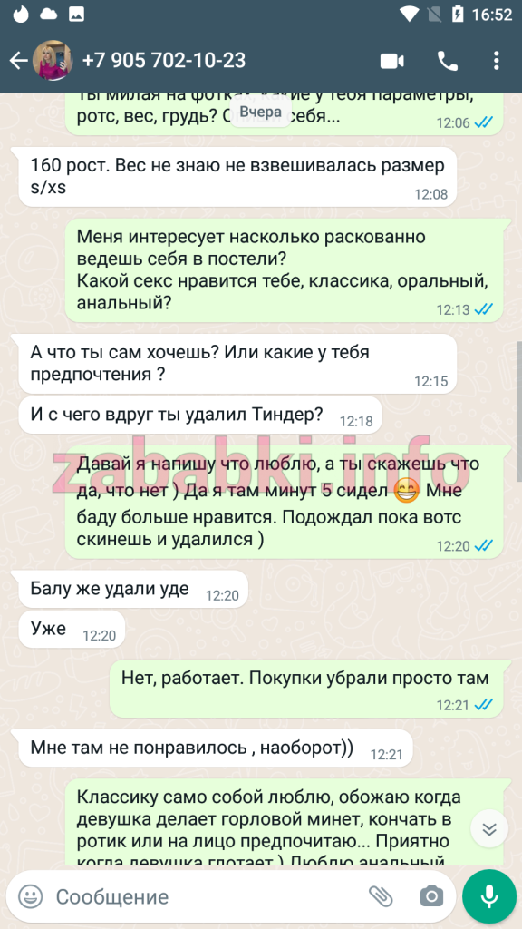 Проститутка Людмила Сошникова — Москва, снимок 9