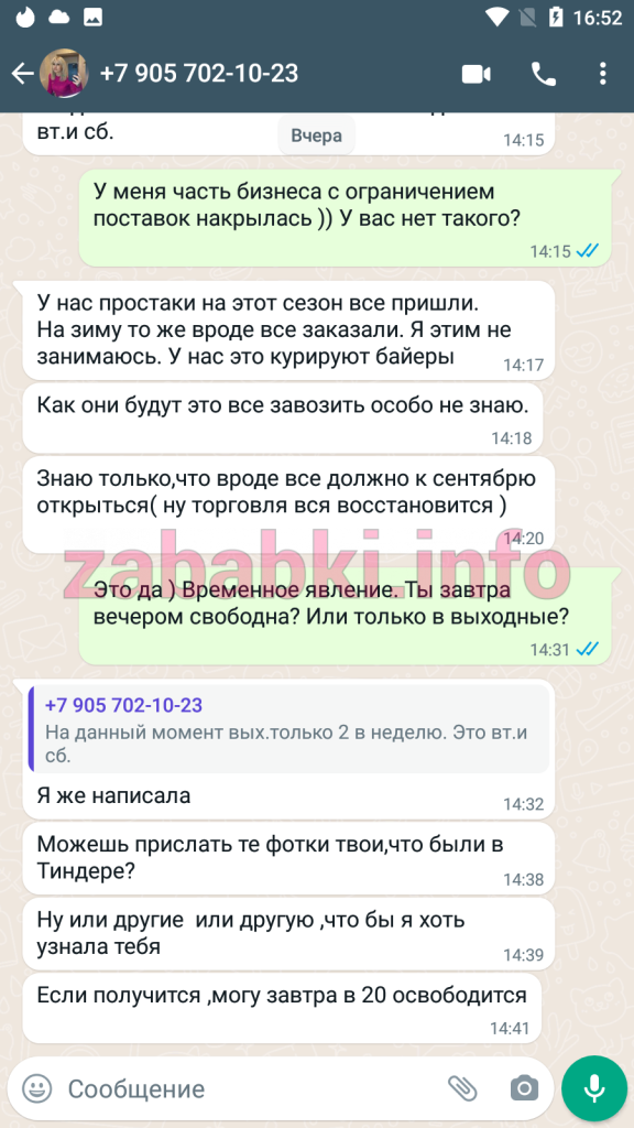 Проститутка Людмила Сошникова — Москва, снимок 13