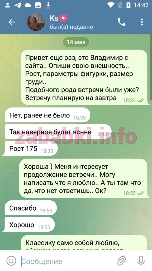Проститутка Лекомцева Ксения Ивановна, снимок 14