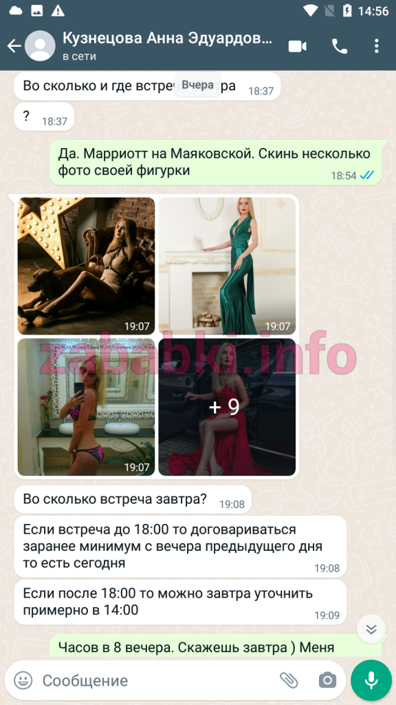 Проститутка Кузнецова Анна Эдуардовна — Москва, снимок 9