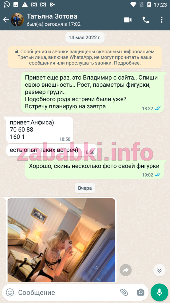 Проститутка Татьяна Зотова, снимок 5