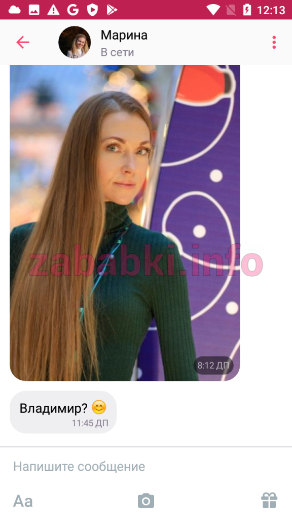 Проститутка Башинская (Пронина) Ирина Викторовна, снимок 3