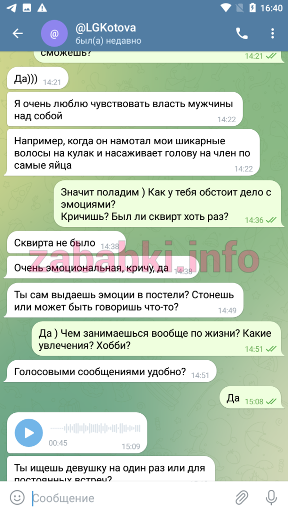 Проститутка Башинская (Пронина) Ирина Викторовна, снимок 11