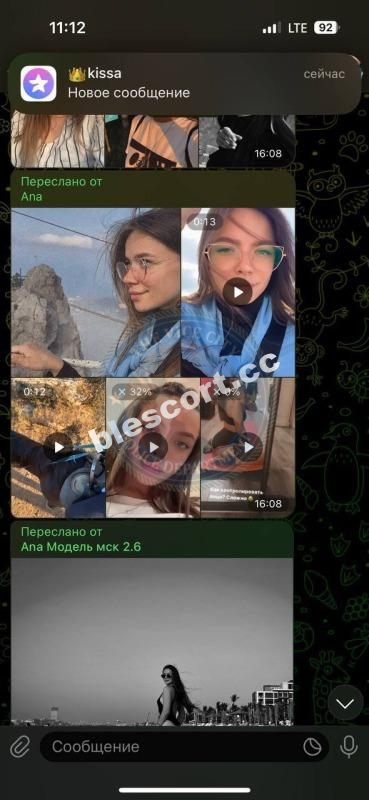 Бондарева Анастасия