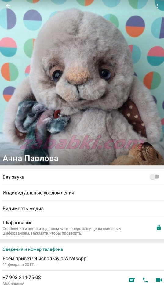 Павлова Анна Константиновна — Москва, снимок 8
