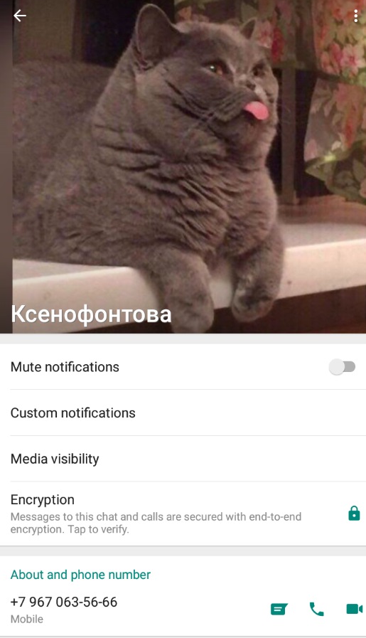 Дягилева Ксения Юрьевна, снимок 8