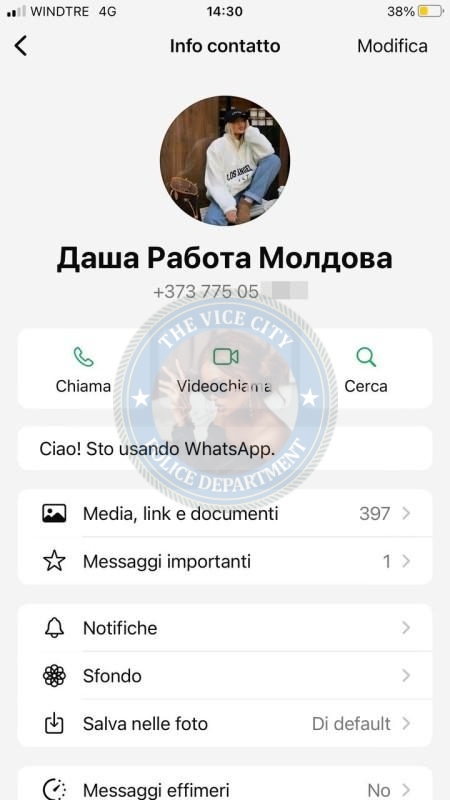 Дарья Костомарова, снимок 5