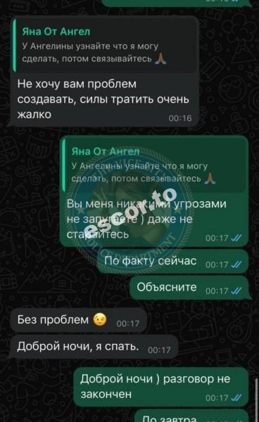 Скрин переписки с Яной Швецовой Скрин переписки с Яной Швецовой