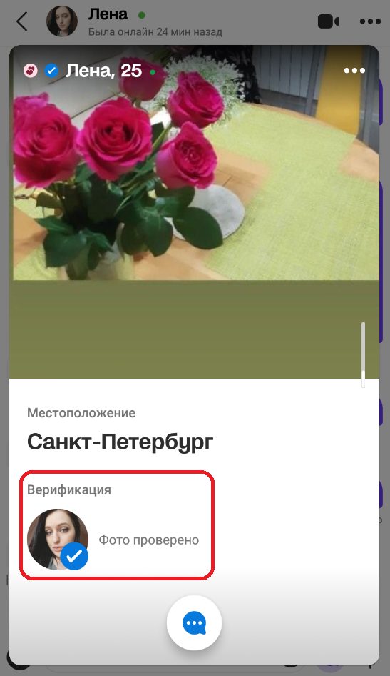 Проститутка Лена Диденко (Кирсанова ) — Санкт-Петербург, снимок 3