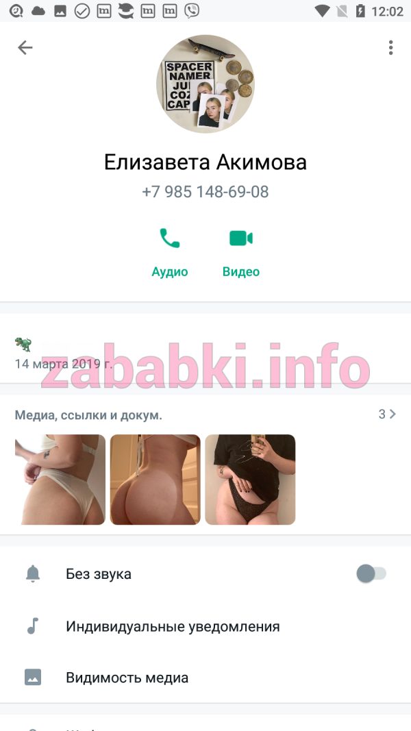 Проститутка Елизавета Акимова — Москва, снимок 3
