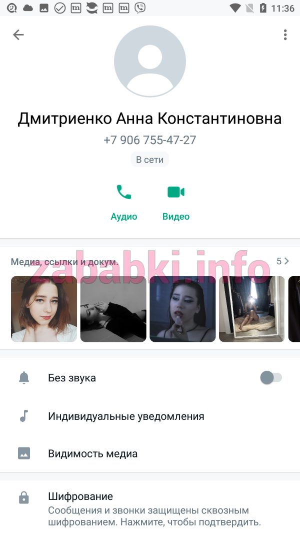 Проститутка Дмитриенко Анна Константиновна, снимок 3