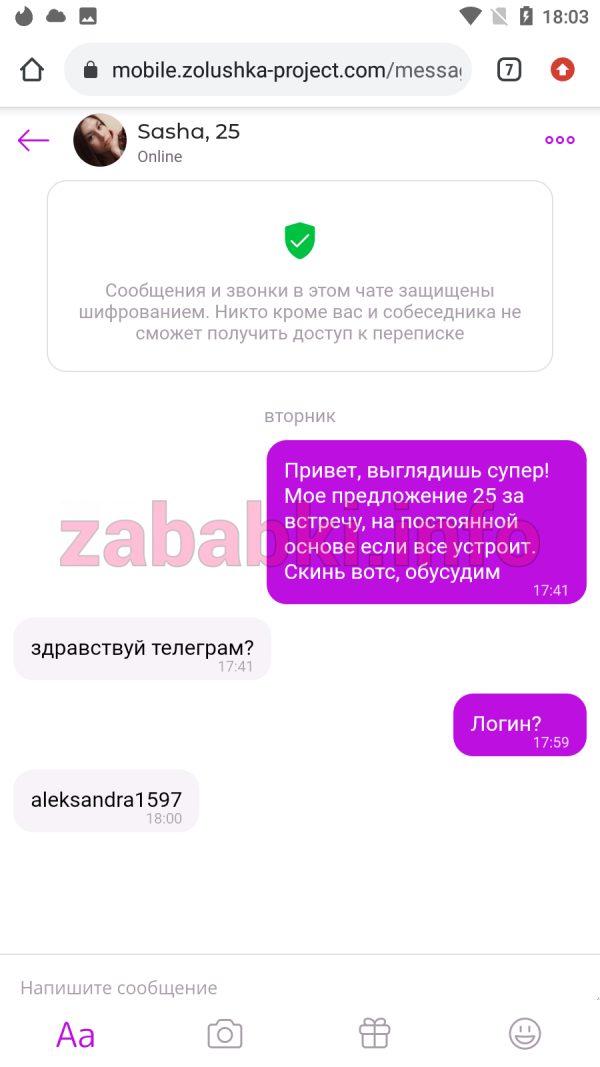 Проститутка Александра Михеева — Москва, снимок 1