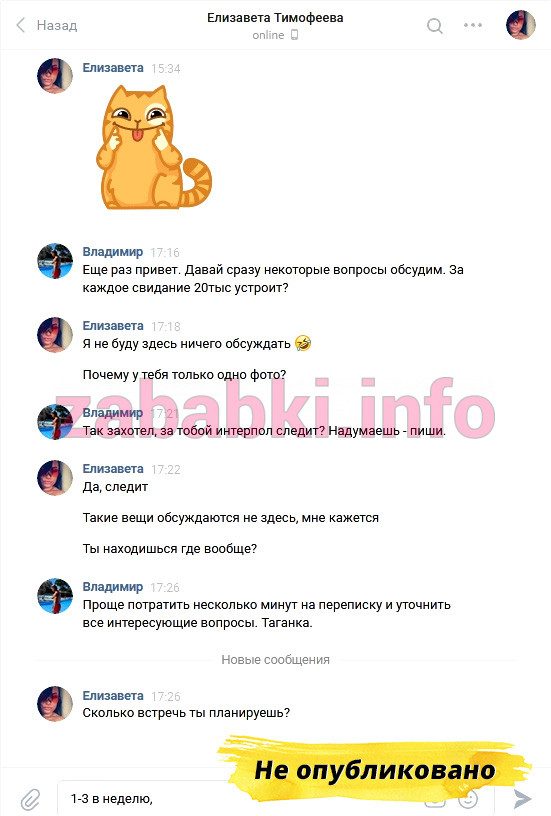 Проститутка Елизавета Тимофеева, снимок 3