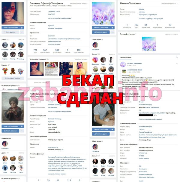 Проститутка Елизавета Тимофеева, снимок 2