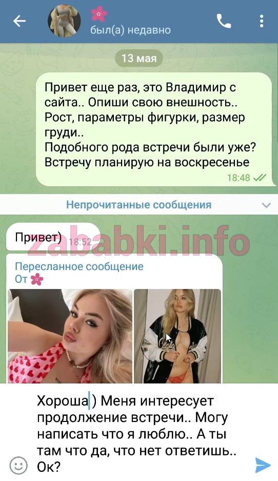 Проститутка Анна Цветкова — Москва, снимок 1