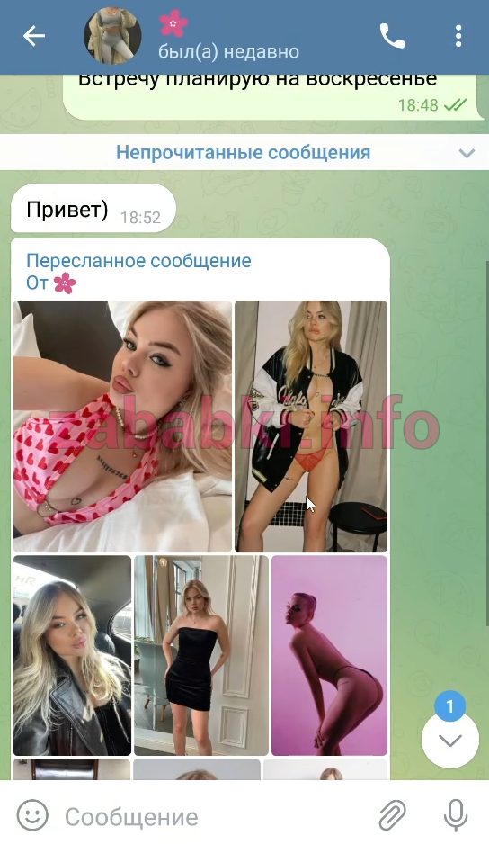 Проститутка Анна Цветкова — Москва, снимок 2