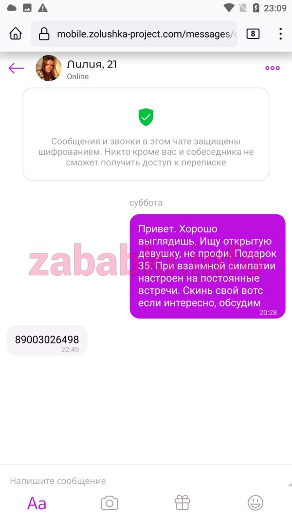 Проститутка Анна Волкова (Дубко) — Москва, снимок 1