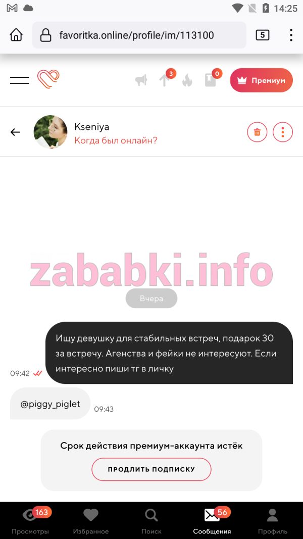Пестрикова Ксения Константиновна, снимок 1