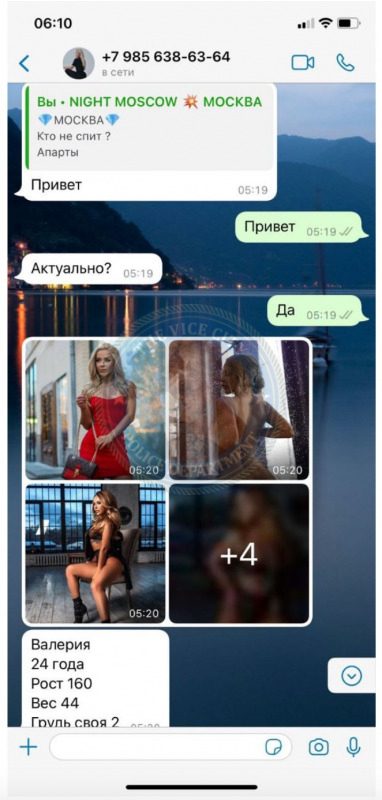 Лисицына Валерия (1996 г.р) — Москва, снимок 3