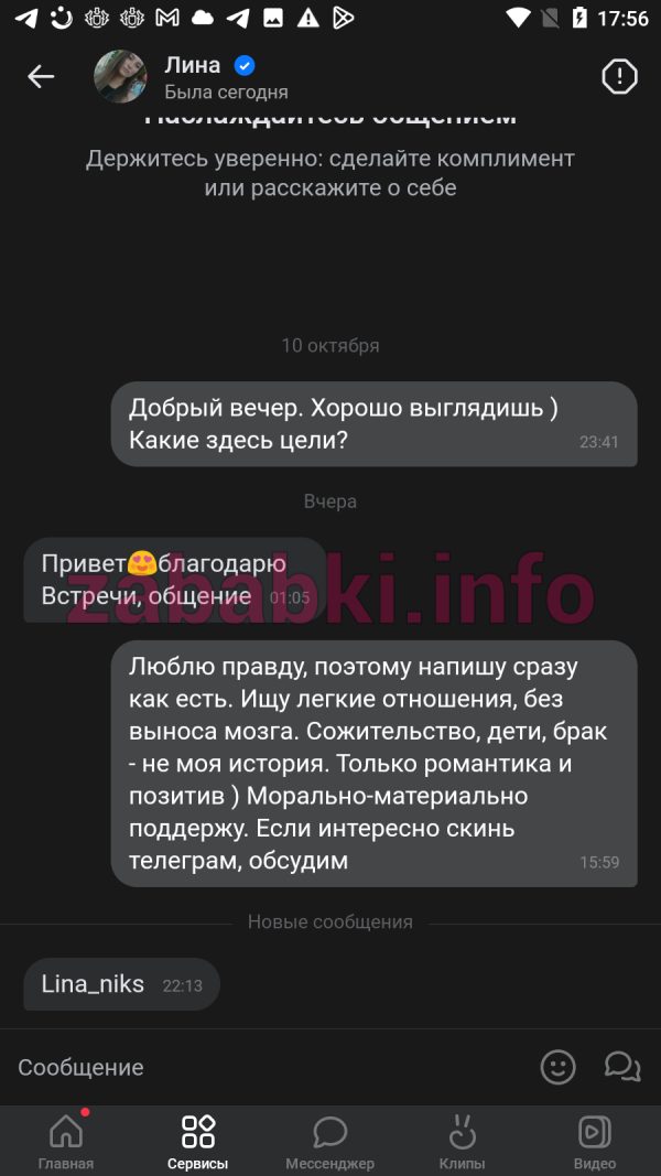 Ангелина Николаенко, снимок 1