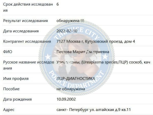 Пестова Мария — Санкт-Петербург, снимок 2