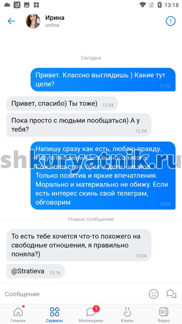 Стратеева Ирина Васильевна, снимок 1