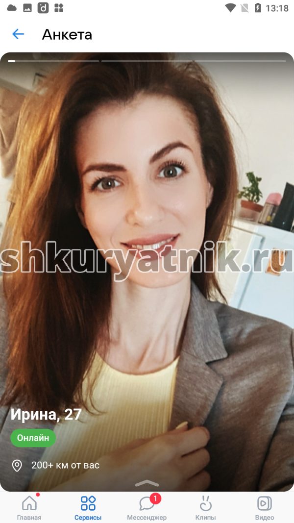 Стратеева Ирина Васильевна, снимок 2