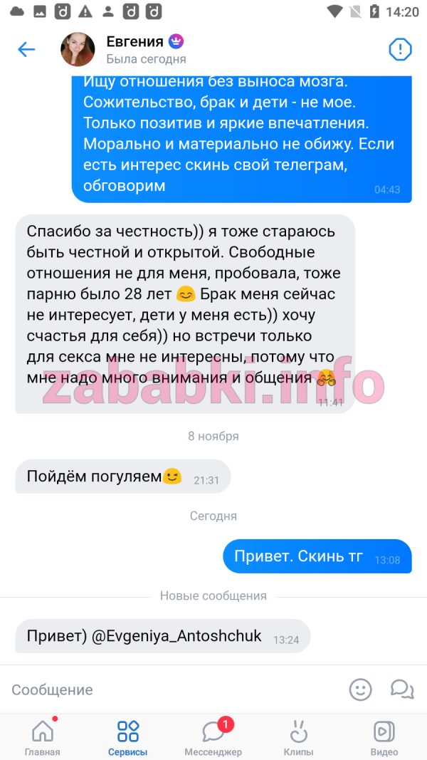 Антощук Евгения Олеговна, снимок 1