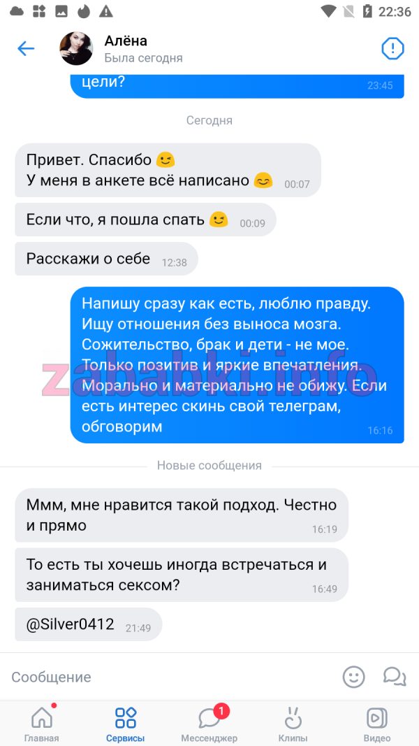 Серебренникова Алена Владимировна, снимок 1