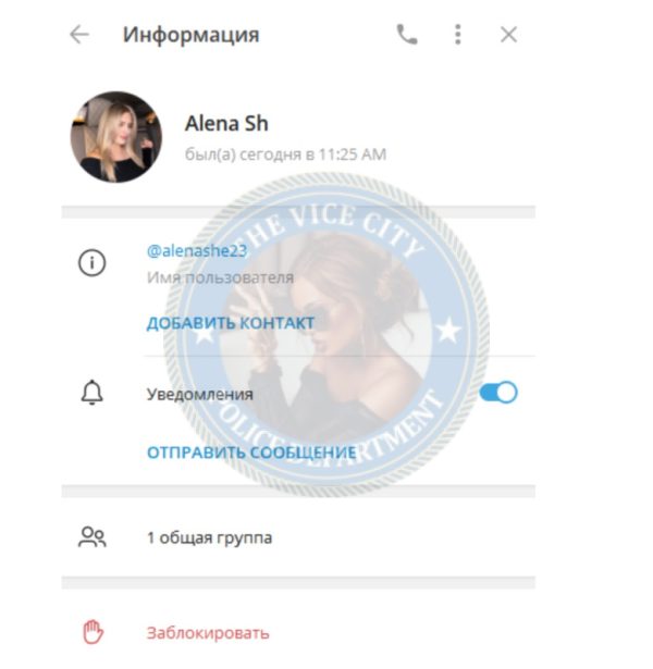 Шейкина Алена, снимок 2