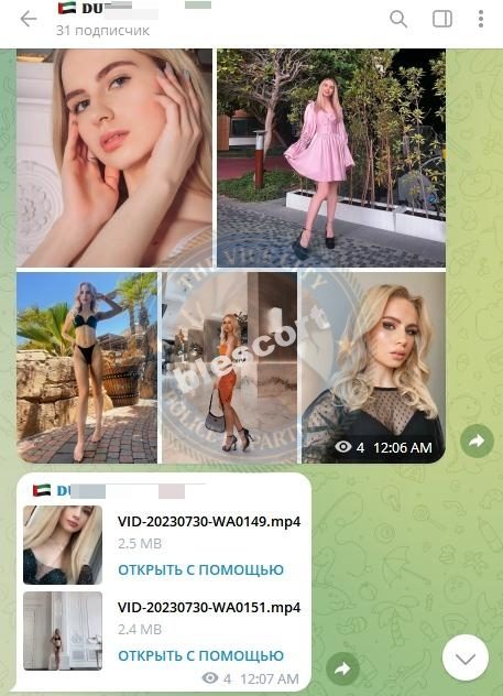 Морозова Анна — Зеленоград, карточка из ЧС эскорта