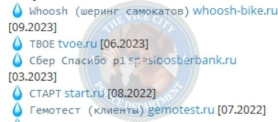 Михайлова Мария — Сыктывкар, слитая анкета