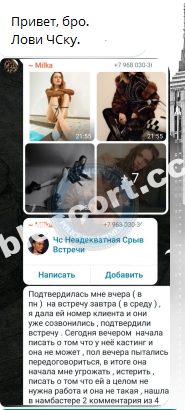 Корой Дарья — Владимир, снимок 2