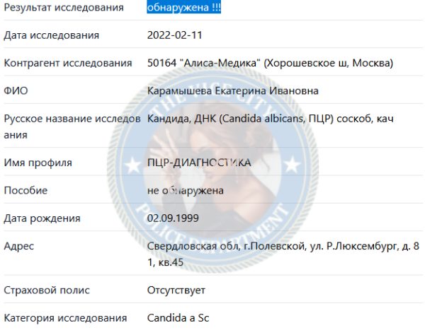 Карамышева Екатерина — Полевской, снимок 2