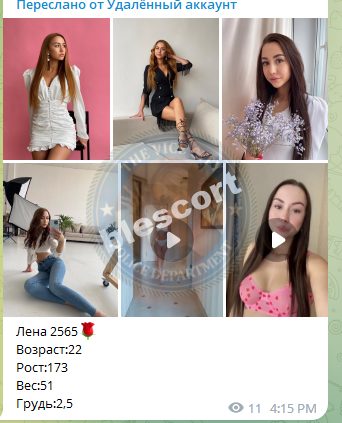 Гришунина Елена — Саранск, снимок 1