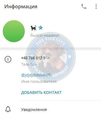 Остроушко Елизавета — слитая анкета
