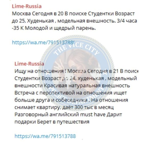 Зимина Елизавета — Москва, снимок 3
