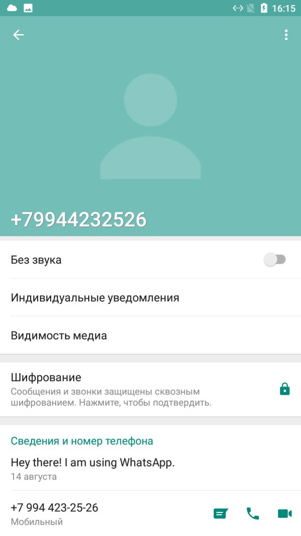 Гурбанмэмедова Мержен Гелдимырадовна — Санкт-Петербург, снимок 3