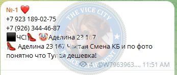 Кулиева Эльмира Мехман Кызы — Тольятти, снимок 2