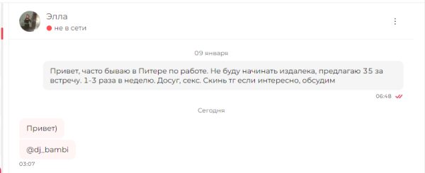 Домайская Эльвира Игоревна — Санкт-Петербург, снимок 1
