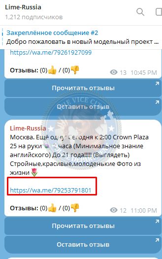 Пахрудинова Эльмира — Камень-На-Оби, слитая анкета