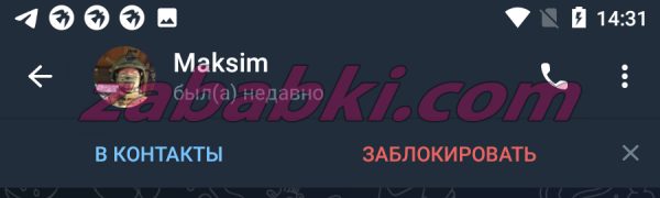 Кирпичев Максим Дмитриевич — Москва, снимок 2
