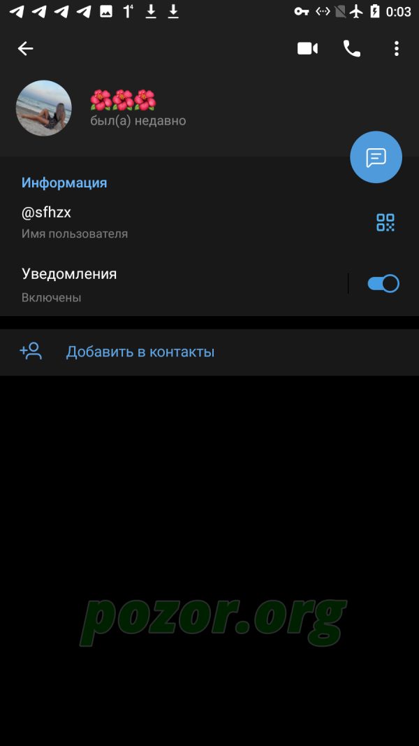 Другуш Анна Владимировна — Йошкар-Ола, снимок 3