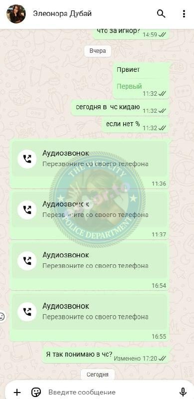 Мишина Ангелина — Санкт-Петербург, слитая анкета